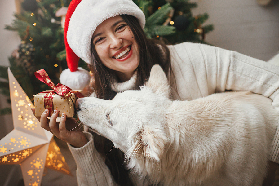 Why is December Perfect Time for Annual Dental Checkup?